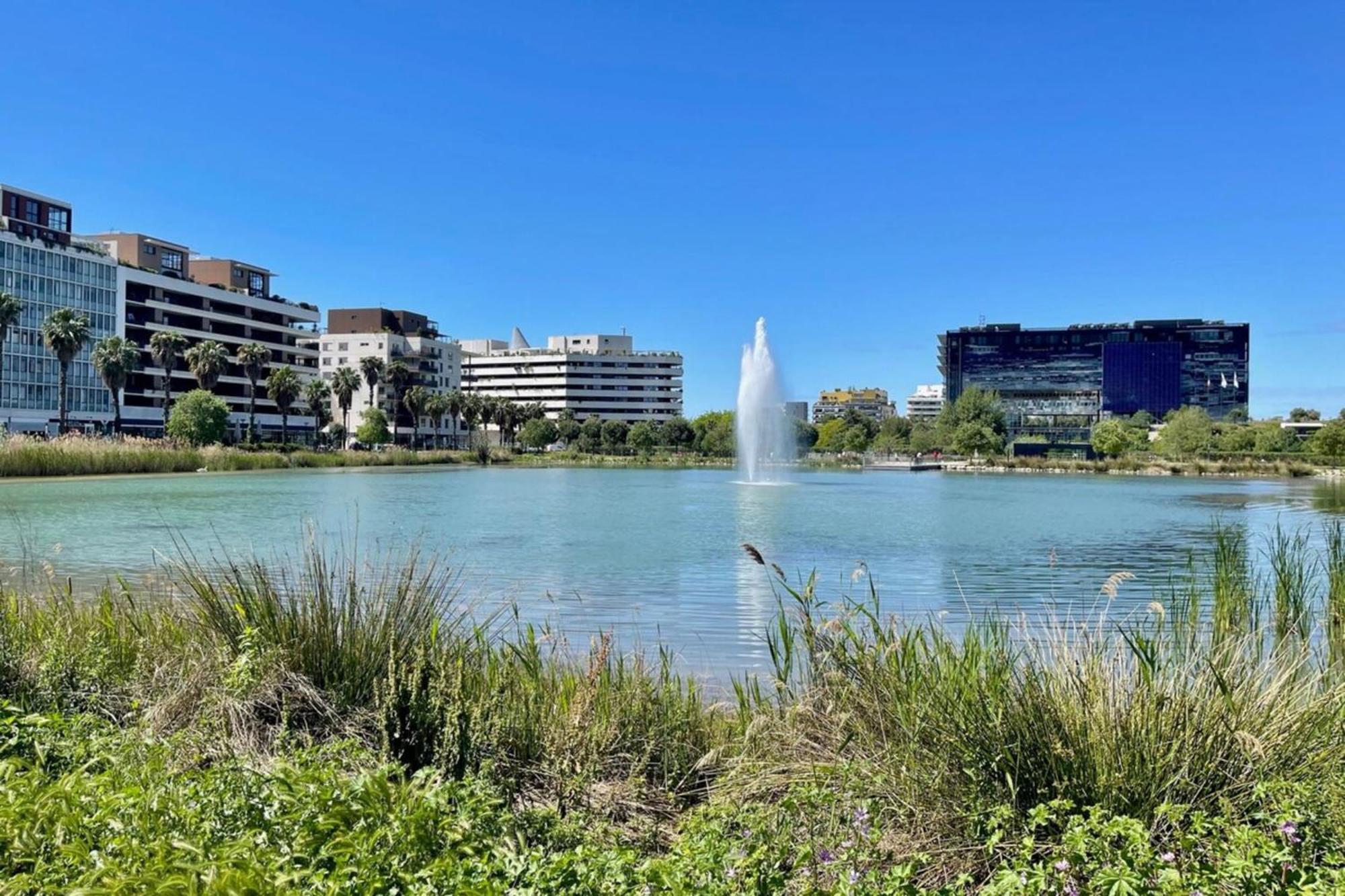 GROOMI Le Sublime- Vue, climatisation et parking ! Montpellier Extérieur photo